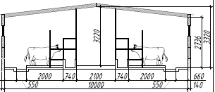 План коровника на 10 голов